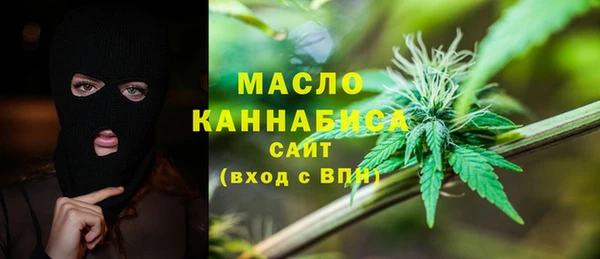 гашик Медногорск