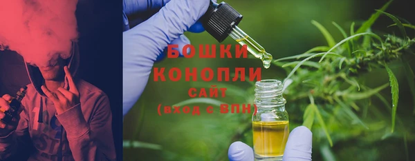 гашик Медногорск