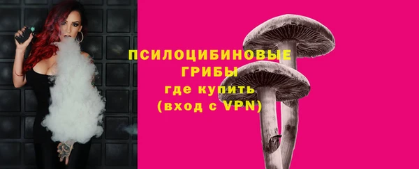прущие крисы Мегион