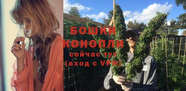 прущие крисы Мегион