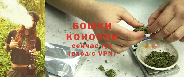 гашик Медногорск
