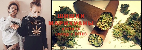 гашик Медногорск