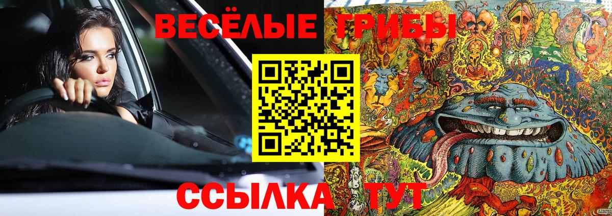 Галлюциногенные грибы GOLDEN TEACHER Приморско-Ахтарск