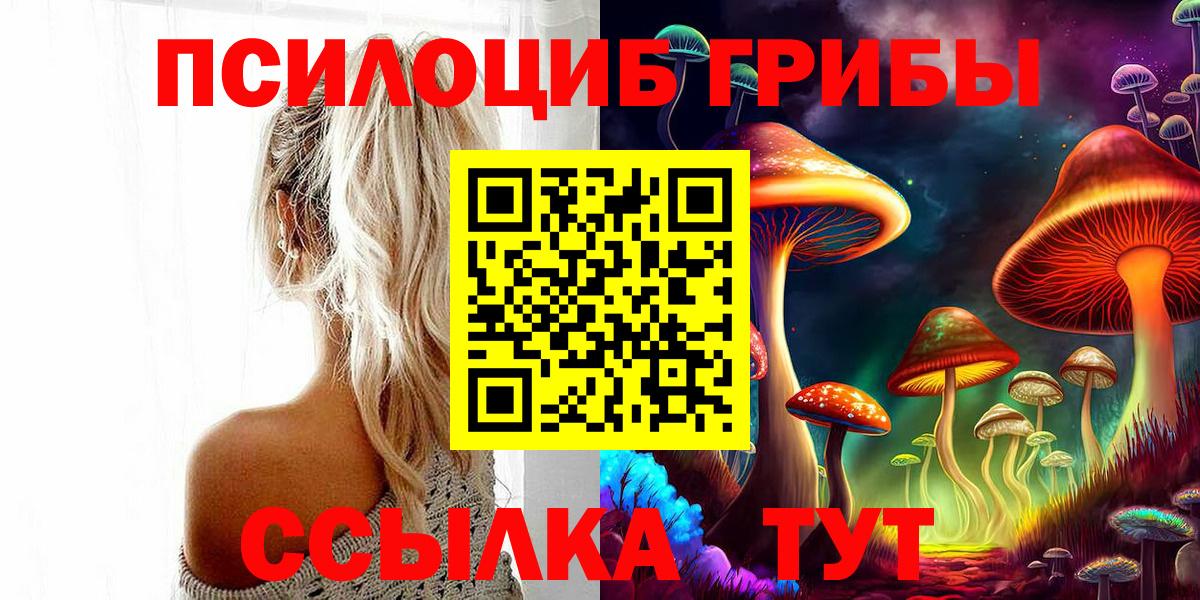 Приморско-Ахтарск  Псилоцибиновые грибы ЛСД  Вход с VPN 